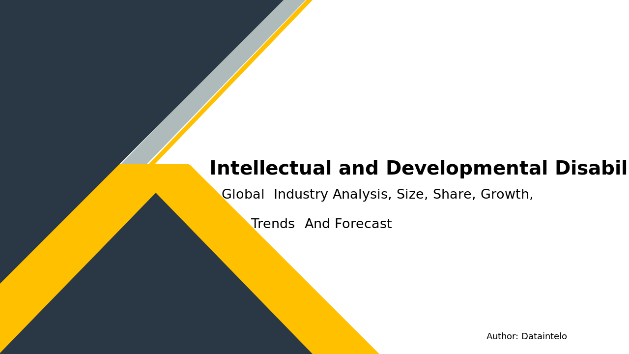 Intellectual and Developmental Disability Services Market Report | Global Forecast From 2025 To 2033