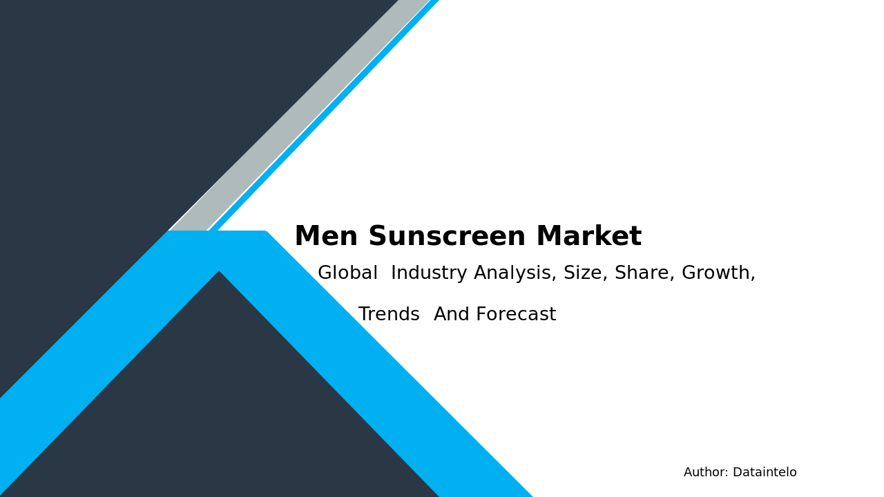 Men Sunscreen Market Report | Global Forecast From 2025 To 2033