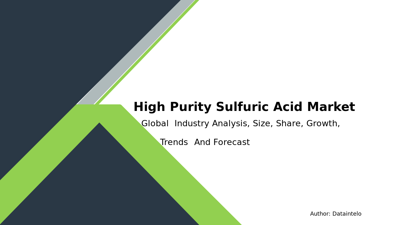 High Purity Sulfuric Acid Market Report | Global Forecast From 2025 To 2033