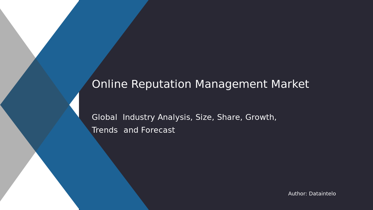 Online Reputation Management Market Report | Global Forecast From 2025 To 2033