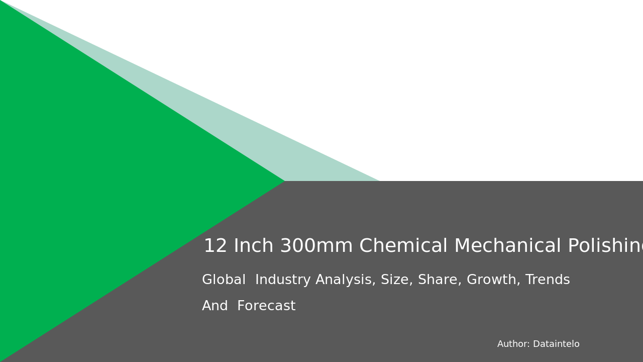 Request For Sample of 12 Inch (300mm) Chemical Mechanical Polishing (CMP) Equipment Market Report | Global Forecast From 2025 To 2033